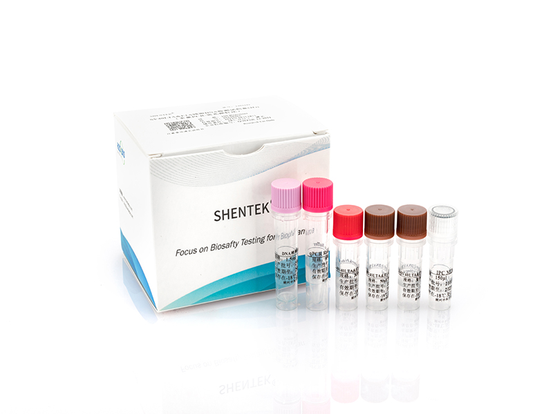 Residual SV40 LTA/E1A DNA Quantitation Kit (2G)